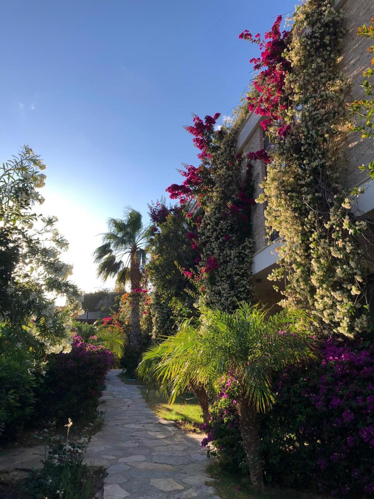 Spektr Boutique Hotel Yalıkavak Eksteriør billede